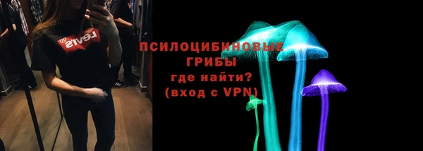 соль ск Аркадак