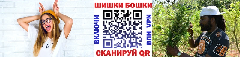 Конопля VHQ  где купить наркоту  Никольск 